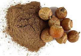 RITHA POWDER CG (Sapindus Mukorossi) – Fruits