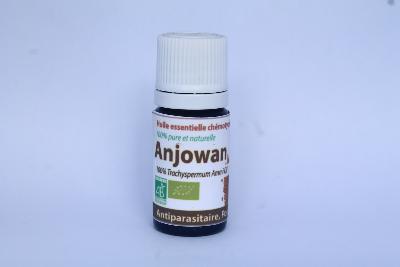 ANJOWAN (Trachyspermum Copticum)