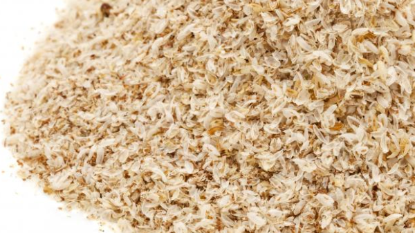 ISABGOL FG (Plantago Ovata) – Racines