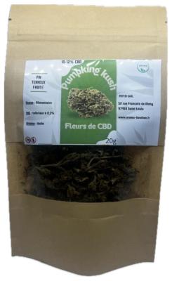 CBD "pumpkin kush"