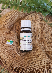 EUCALYPTUS SMITHII – HUILE ESSENTIELLE BIO