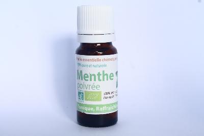 MENTHE POIVREE (Mentha Piperita)