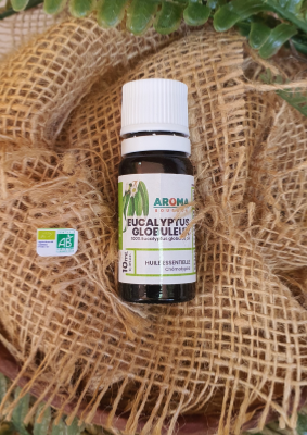 EUCALYPTUS GLOBULUS – HUILE ESSENTIELLE BIO