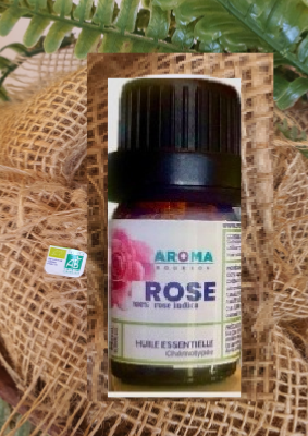 ROSE INDICA (Lagerstroemia indica)-HE 