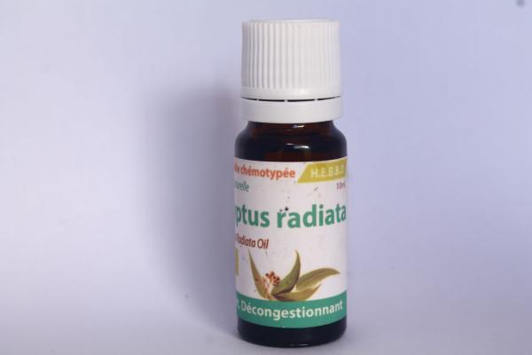 EUCALYPTUS RADIATA  – HUILE ESSENTIELLE BIO