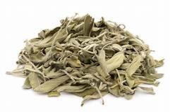 SAUGE OFFICINALE 