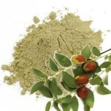 SIDR CG - POUDRE 200G