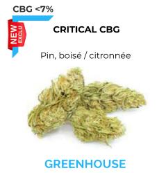 CBG Critical Green House